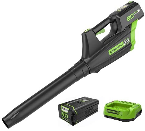 Greenworks Pro 80 V Axial-Gebläse, bürstenloser Motor, Luftgeschwindigkeit 210 km/h, Luftvolumen 850 m³/h, Gewicht 2,5 kg (mit 4Ah Akku und Ladegerät)