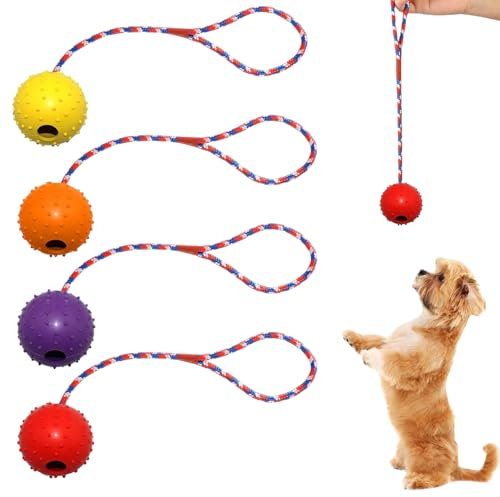 AUTOWNLUX 4 Stück Hundespielzeug Ball mit Schnur, ø 5/30 cm Hundespielzeug Ball Hund am Seil Naturkautschuk, Hundebälle Kleine (Rot, Gelb, Lila, Orange)