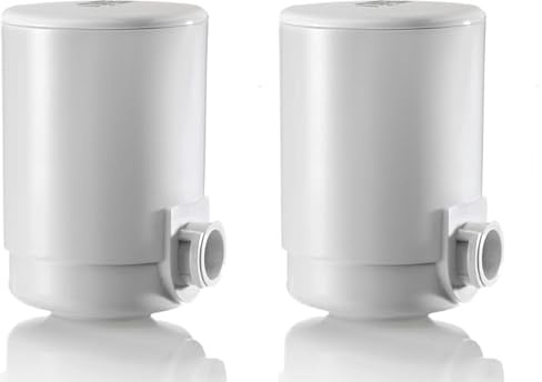 Laica FR01A Hydrosmart Componente di Ricambio per Filtro Rubinetto, 900 lt di Acqua Filtrata, Riduce: Cloro, Microplastiche, Erbicidi e Altri Ancora, 100% Made in Italy, Bianco (Confezione da 2)