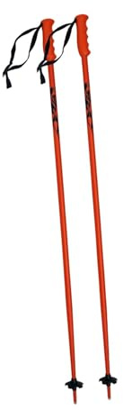 Ronyme Lot de 2 bâtons de Ski pour Adultes, en Alliage d'aluminium avec poignée Ergonomique, pour en Plein air, Les Sports de Neige de, 115 Cm