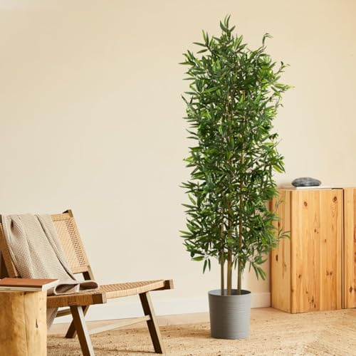 Blaine - Kunstpflanze Japanischer Bambus 100 cm | Hyperrealistische Optik für die Dekoration von Zimmern Innenräumen und Büros Ohne Pflegeaufwand