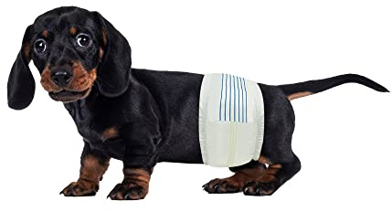 BV Dog Diapers Male Small (Waist 12-19in) Super Absorbent - 50 Count Disposable - Doggie Diapers with Wetness Indicator - Adjustable Male Dog Wraps - Ideal for Incontinence/Training