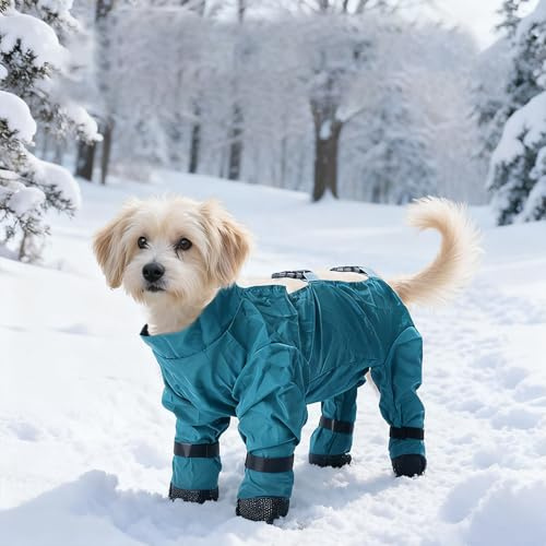 Generisch Chaussures pour chien avec manteau - Vêtements d'hiver imperméables pour la neige et le froid - Respirantes et chaudes - Avec bandes réfléchissantes pour petits chiens - Protection des