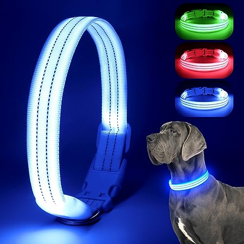 Chalklit LED-Hundehalsband, wiederaufladbar, wasserdicht, reflektierend, verstellbar, blinkend, leuchtet im Dunkeln, für kleine, mittelgroße und große Hunde, Sicherheit bei Nacht (Medium, Blau)