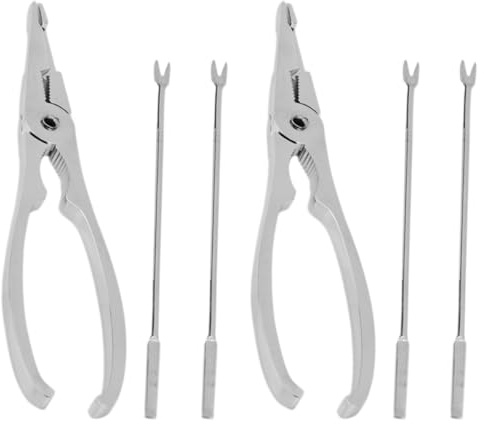 SHINYPASING Acciaio Inossidabile Kit per Crostacei, 6 Pezzi Riutilizzabili, Argento, Include Coltello per Ostriche e Forchette, Pratico per Frutti di Mare