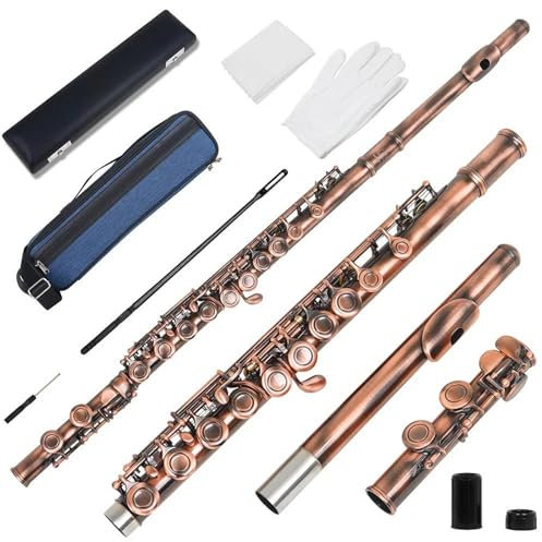flûte traversière Flûte Traversière Professionnelle À 16 Trous Fermés Clé C Avec Boîte Gants En Tissu Instrument De Musique De Concert(B)