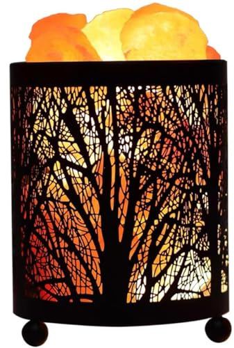 Zerodeko Lámpara de Sal Natural con Cesta de Hierro Forjado, Lámpara de Acento Pequeña para Mesita de Noche, Luz Decorativa para Dormitorio y Sala de Estar, Original Enchufe Ac220