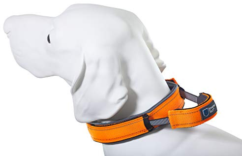Dog Control Halsband mit integrierter Kurzleine (S - Halsumfang 33-38 cm, orange)