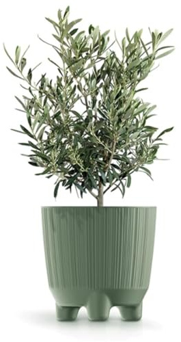 B2C Plant Pots Indoor Outdoor Plastic Flowerpot Small Medium Large RYFO 6 Colours (Earth green, 20cm)