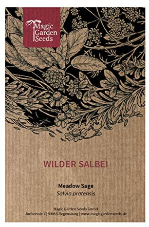 Wilder Salbei (Salvia pratensis) - ca. 200 Samen