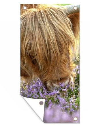 MuchoWow Outdoor-Poster Poster Wanddeko draußen Deko Garten Gartenposter 30x60 cm Schottische Highlander - Gras - Heidekraut - Tiere