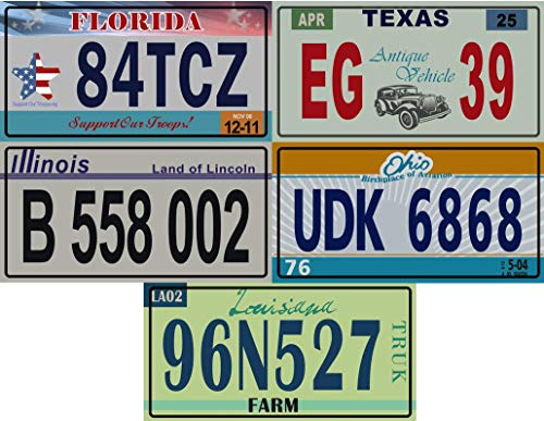 OPO 10 - Los mit 5 USA Autokennzeichen aus Metall - Repliken von echten amerikanischen Kennzeichen (v4)