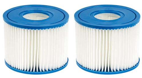 Benfosh 2 cartucce filtranti per piscina tipo S1 compatibili con Intex PureSpa 29001E PureSpa filtro gonfiabile per piscina Catridge