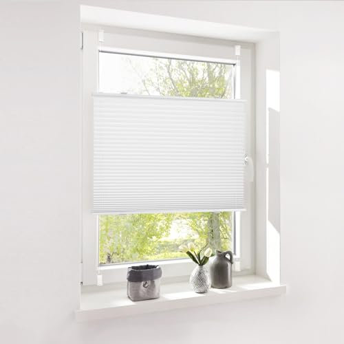 Deswell Plissee ohne Bohren Klemmfix Weiß B25 x H130cm Plisseerollo Sonnenschutz und Sichtschutz Jalousien Easyfix Plissees Lichtdurchlässig Rollo für Fenster & Tür