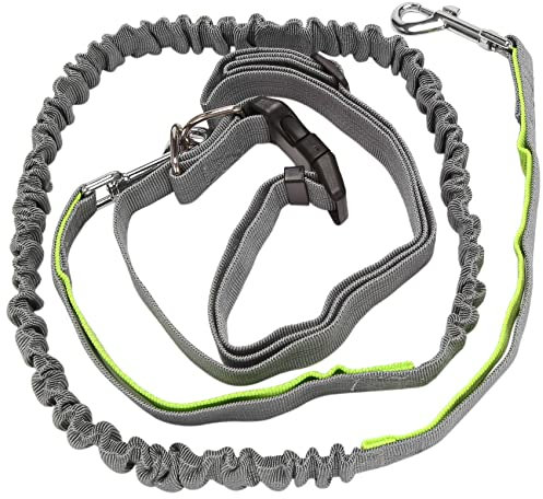Sessleger Hundeleine, Hände, Laufleine für Hunde, einziehbar, Laufgurt für Hunde, elastisch, Joggingleine mit grünem Gürtel
