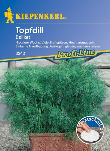 Kiepenkerl Dill Delikat (Topfdill) Saatscheiben