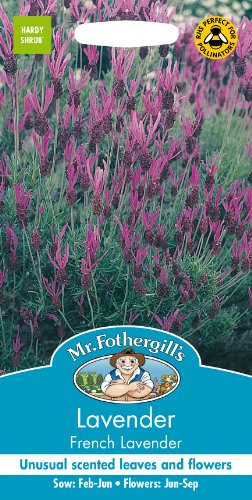 Mr Fothergill's 23939 Flower Seeds, Lavender French