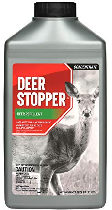Deer Stopper Quart Concentrate
