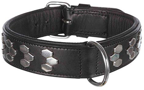 TRIXIE Active Halsband mit Nieten, Multi, L: 48-55 Cm/40 Mm