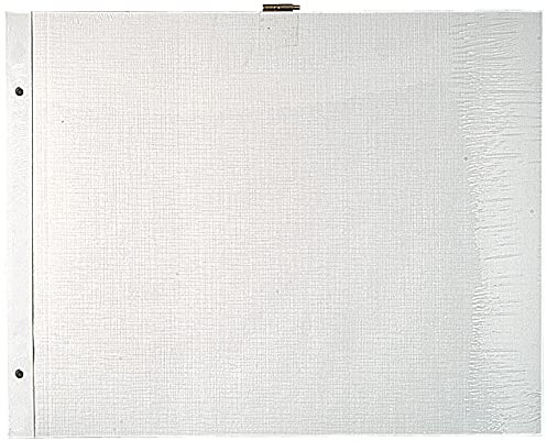 Exacompta - Ref 16812E - 1 förpackning med 10 refiller för 37 x 29 cm vita sidor i postalbum med skruv - med förlängningsskruvar och kristallklara mellanblad