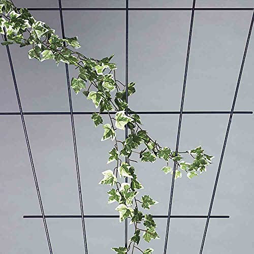 Siena Garden 763766 - Producto para Cultivo