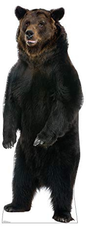 Cardboard People Brown Bear Life Size Cardboard Cutout Standup