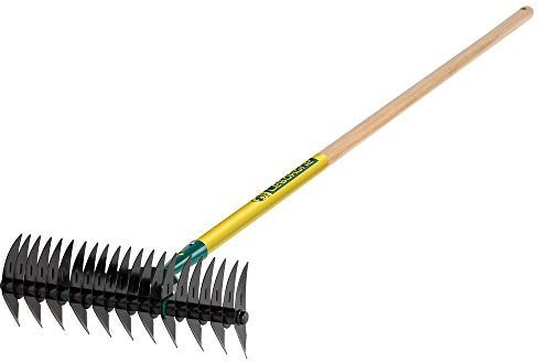 Leborgne, Scarificateur 32 Dents avec Manche, Modèle 460321, Outil de Jardinage en Acier, Idéal pour Aérer et Éliminer la Mousse du Gazon, Taille Pratique, Parfait pour les Jardiniers Passionnés