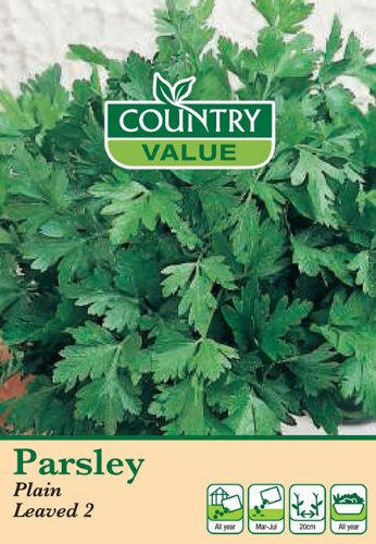 Country Value PARSLEY Plain Leaved 2 Seeds