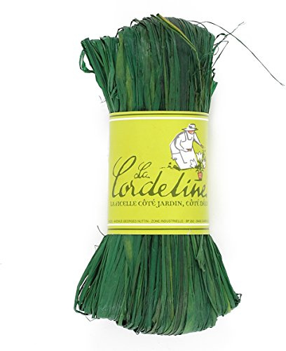 La Cordeline JN50D Bast mintgrün 50 g