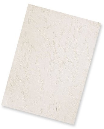 Pavo - Einbanddeckel-Lederoptik DIN A4, 250 g/m², 100-er Pack, Elfenbein