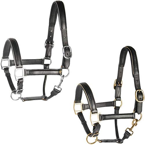 Harry's Horse Halster Leder, zwart met bies, Farbe:Silber, Größe:cob