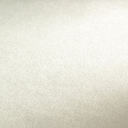 Hahnemühle SUMI-E - 20 Einzelbogen, 80g, 50 x 65 cm