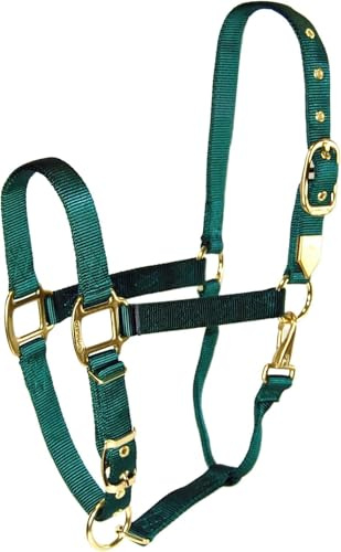 Hamilton 2,5 cm Nylonhalfter mit verstellbarem Kinn, Dunkelgrün, Größe S 500 bis 362,9 kg