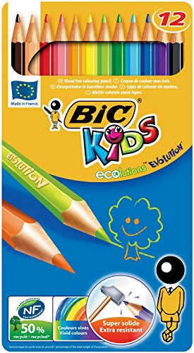 BIC Kids ECOlutions Evolution Buntstifte Set für Kinder ab 5 Jahre – Farbstifte ohne Holz, mit bruchsicherer Mine - sicher Schreiben – 12 Stifte in Metallbox