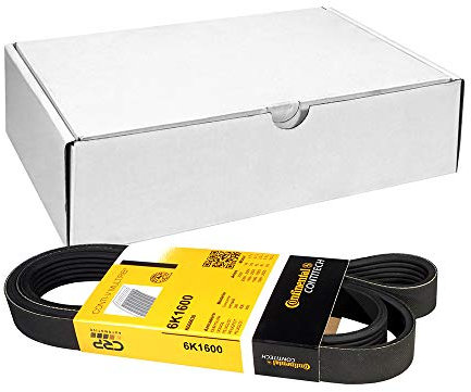 CONTITECH 6PK1600 Cinghia Poly-V