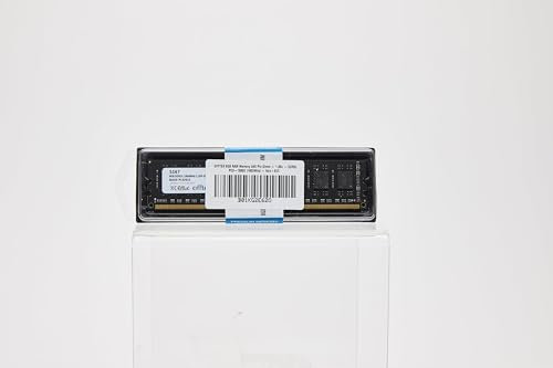 OFFTEK Memoria RAM de 8 GB, DIMM de 240 pines, 1,35 V, DDR3L, PC3-12800 (1600 Mhz), sin ECC