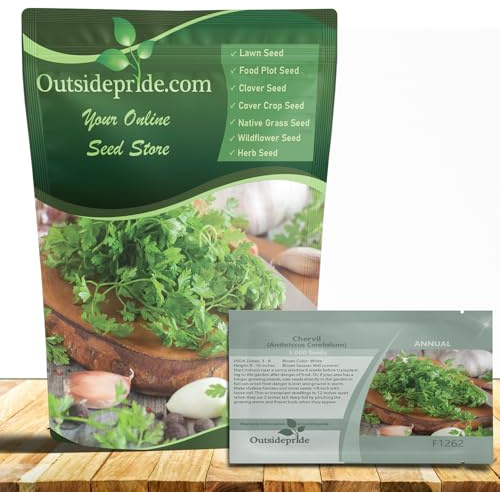 Outsidepride Chervil Herb & Microgreens Seeds - 10000 Pcs. Annual, Adaptable & Versatile, Herb Seeds for Planting Aromatic, Flavorful Green Foliage for Culinary Creations & Herb Gardens
