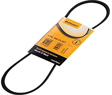 CONTITECH 4PK830 ELAST Cinghia servizi Cinghia Poly-V Cinghia alternatore Cinghia dei servizi