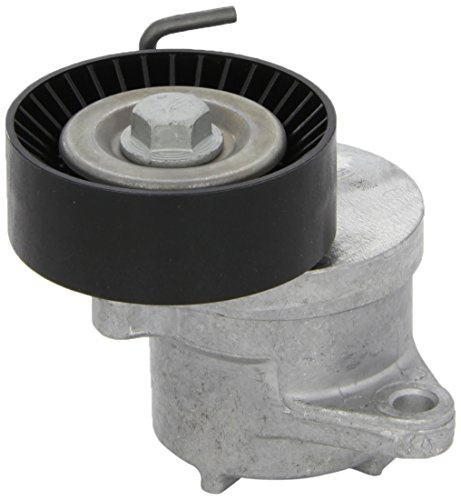 INA 534 0439 10 Galet tendeur de courroie d'accessoire | Compatible avec: CHEVROLET MALIBU, OPEL ASTRA J, ASTRA J Caravan, ASTRA J GTC, ASTRA J Kasten/Kombi, CASCADA, INSIGNIA A