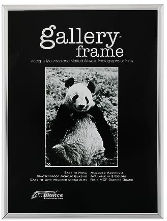 Ambiance Gallery Aluminum Picture Frame, 20x24 silver, Includes Shatterproof Glazing and Spring Loaded Backerboard - Easy to Frame