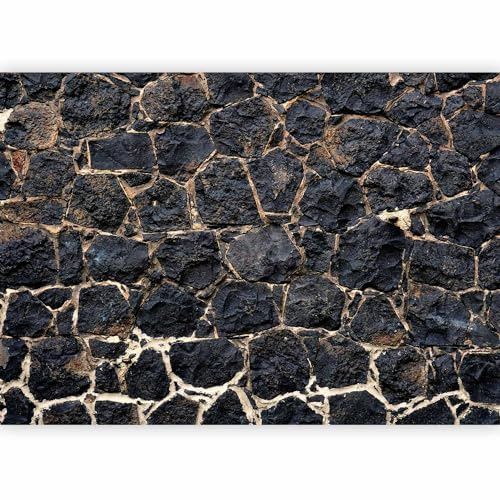 murando - Fototapete Vlies Steinwand, 200x140 cm, Schlafzimmer, Wohnzimmer | Full HD Druck, 3D-Effekt, lichtbeständige Farben, ideal fürs Wohn- oder Schlafzimmer, schnelle Montage, lichtbeständig, edel