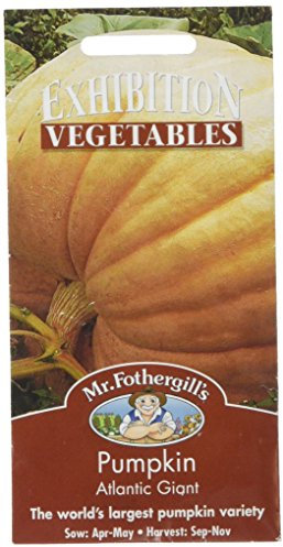 Mr Fothergill's 17826 Vegetable Seeds, Pumpkin Atlantic Giant