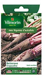 Vilmorin - Sachet graines Betterave rouge crapaudine