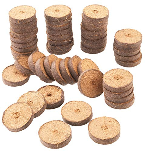 Meister Kokos-Quelltabletten Ø 3,5 cm - Praktisches Set mit 50 Stück - Mit pflegendem Nährstoff-Mix - 100% torffrei aus Kokos - Biologisch abbaubares Material / Kokostabletten / Kokoserde / FLOR79145 | Mit pflegendem Nährstoff-Mix – 100% torffrei aus Kokos – Biologisch abbaubares Material – Kokostabletten – Kokoserde