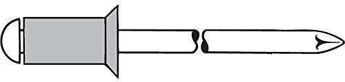 TPF kommerziellen 0007693250312 – Pack von 500 gesipas Blindnieten Aluminium, 3 x 12 mm)