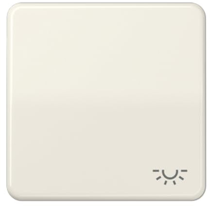 Jung CD590L Wippe mit Symbol Licht