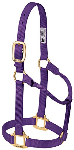 Weaver Leather Original Non-Adjustable Nylon Horse Halter, Large, Purple
