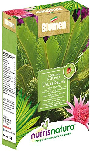 Nutrisnatura Engrais naturel Cycas, palém et plantes tropicales, vert