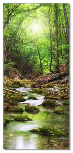 Wallario Selbstklebende Türtapete Fluss im Wald - Türposter 93 x 205 cm Abwischbar, rückstandsfrei zu entfernen