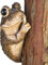 Bits and Pieces - Silence! Grenouille sur Arbre - Grenouille Embrasseuse d'arbre - Statue en Polyrésine Durable - Décor du Gazon et du Jardin en Plein Air